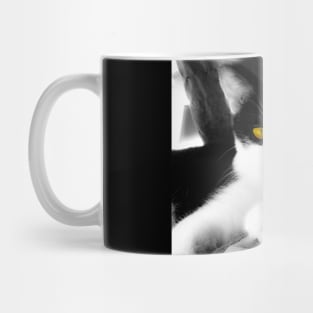 Stunning tuxedo cat with yellow eyes Mug